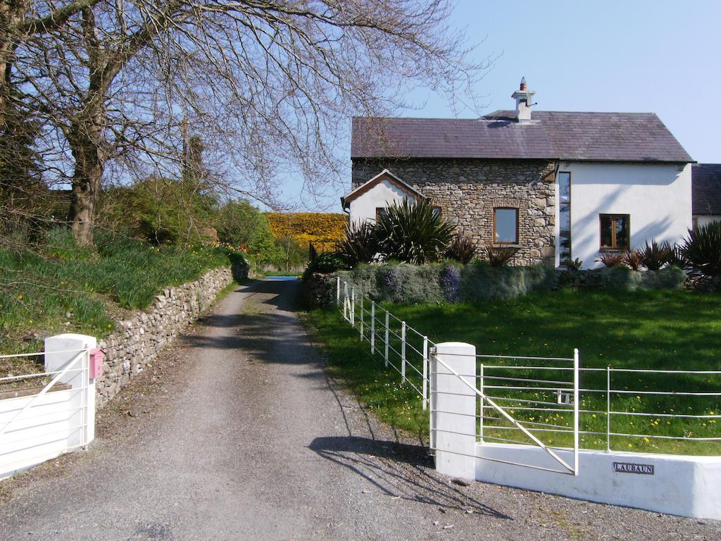 The Village Studio Apartments Moate Εξωτερικό φωτογραφία