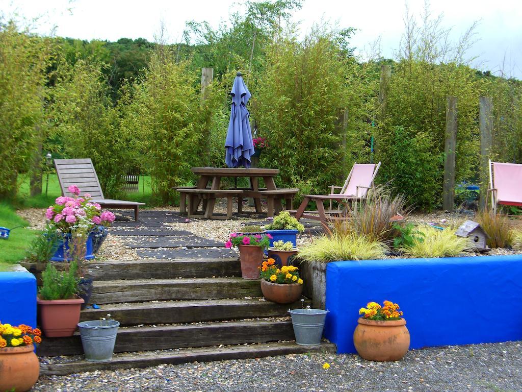 The Village Studio Apartments Moate Δωμάτιο φωτογραφία