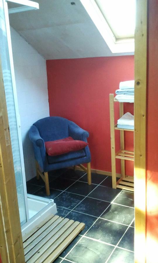 The Village Studio Apartments Moate Εξωτερικό φωτογραφία