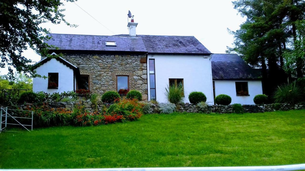 The Village Studio Apartments Moate Εξωτερικό φωτογραφία